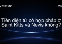 Tiền điện tử có hợp pháp ở Saint Kitts và Nevis không?
