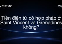 Tiền điện tử có hợp pháp ở Saint Vincent và Grenadines không?