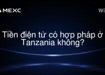Tiền điện tử có hợp pháp ở Tanzania không?