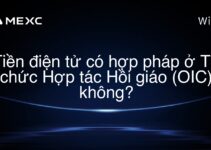 Tiền điện tử có hợp pháp ở Tổ chức Hợp tác Hồi giáo (OIC) không?