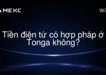 Tiền điện tử có hợp pháp ở Tonga không?