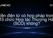 Tiền điện tử có hợp pháp trong Tổ chức Hợp tác Thượng Hải (SCO) không?
