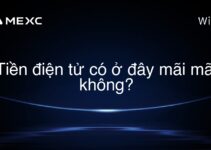 Tiền điện tử có ở đây mãi mãi không?