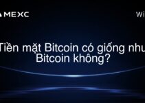 Tiền mặt Bitcoin có giống như Bitcoin không?