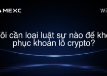 Tôi cần loại luật sư nào để khôi phục khoản lỗ crypto?