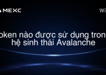 token nào được sử dụng trong hệ sinh thái Avalanche