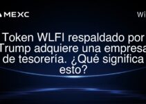 Token WLFI respaldado por Trump adquiere una empresa de tesorería. ¿Qué significa esto?
