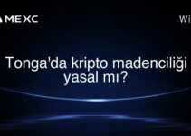 Tonga’da kripto madenciliği yasal mı?