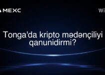 Tonga’da kripto mədənçiliyi qanunidirmi?