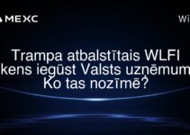 Trampa atbalstītais WLFI tokens iegūst Valsts uzņēmumu. Ko tas nozīmē?