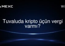 Tuvaluda kripto üçün vergi varmı?
