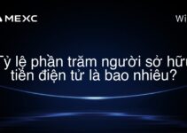 Tỷ lệ phần trăm người sở hữu tiền điện tử là bao nhiêu?