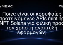 Ποιες είναι οι κορυφαίες προτεινόμενες APIs minting NFT Solana για φιλική προς τον χρήστη ανάπτυξη εφαρμογών;