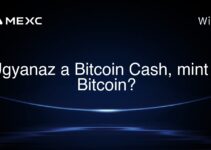 Ugyanaz a Bitcoin Cash, mint a Bitcoin?