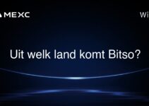 Uit welk land komt Bitso?