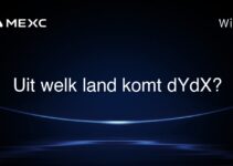 Uit welk land komt dYdX?