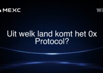 Uit welk land komt het 0x Protocol?