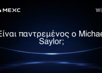 Είναι παντρεμένος ο Michael Saylor;
