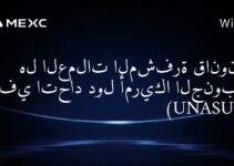 Является ли криптовалюта законной в Союзе Южноамериканских Наций (UNASUR)?