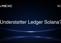 Understøtter Ledger Solana?