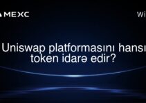 Uniswap platformasını hansı token idarə edir?