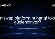 Uniswap platformını hangi token güçlendiriyor?