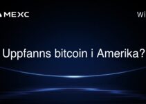 Uppfanns bitcoin i Amerika?