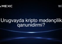 Urugvayda kripto mədənçilik qanunidirmi?