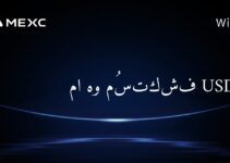 ما هو USDT سيكر؟