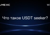 Что такое USDT seeker?