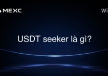 USDT seeker là gì?