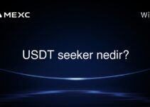 USDT seeker nedir?