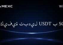 Как обменять USDT на SOL?