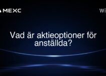 Vad är aktieoptioner för anställda?