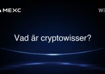Vad är cryptowisser?