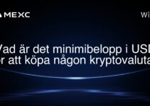 Vad är det minimibelopp i USD för att köpa någon kryptovaluta?