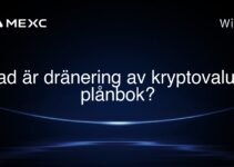Vad är dränering av kryptovaluta plånbok?