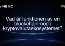 Vad är funktionen av en blockchain-nod i kryptovalutaekosystemet?