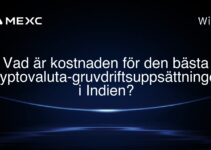 Vad är kostnaden för den bästa kryptovaluta-gruvdriftsuppsättningen i Indien?