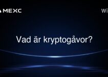 Vad är kryptogåvor?