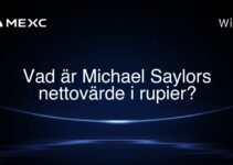 Vad är Michael Saylors nettovärde i rupier?