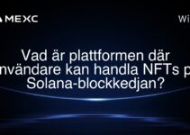 Vad är plattformen där användare kan handla NFTs på Solana-blockkedjan?