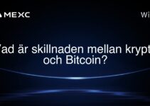 Vad är skillnaden mellan krypto och Bitcoin?