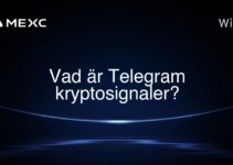 Vad är Telegram kryptosignaler?