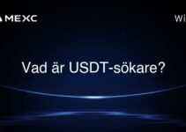 Vad är USDT-sökare?