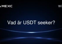 Vad är USDT seeker?