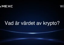 Vad är värdet av krypto?