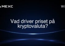 Vad driver priset på kryptovaluta?