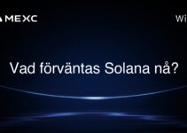 Vad förväntas Solana nå?