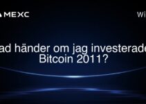 Vad händer om jag investerade i Bitcoin 2011?